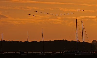 Hllviken
