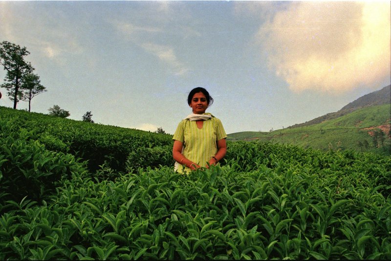 Shanthi, somewhere in the tea plantations