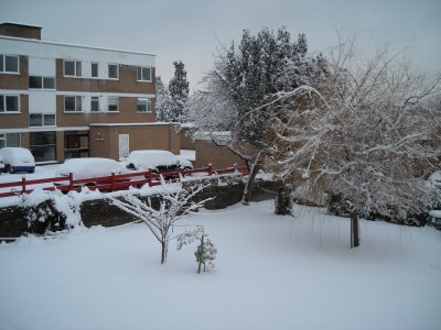 Feb 2009 snow at the backyard 1