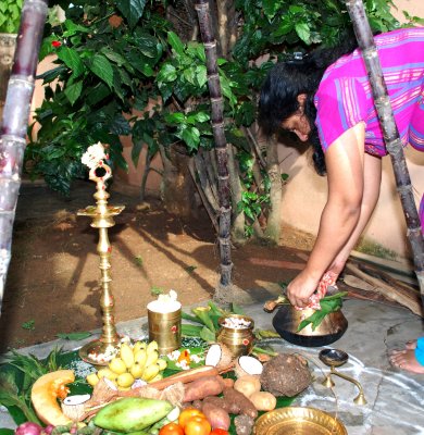 Pongal is also placed as an offering