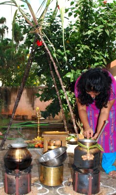 Sweet pongal cooked and ready to be taken off..