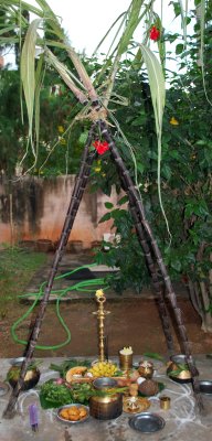 Pongal offerings to the Sun God