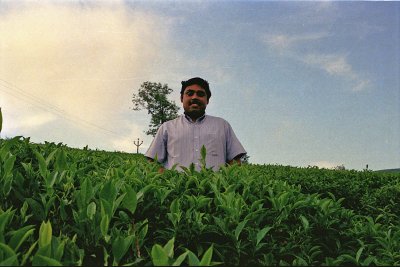 Thiru, somewhere in the tea plantations