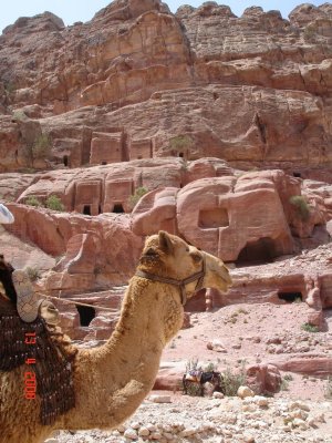 petra50.jpg