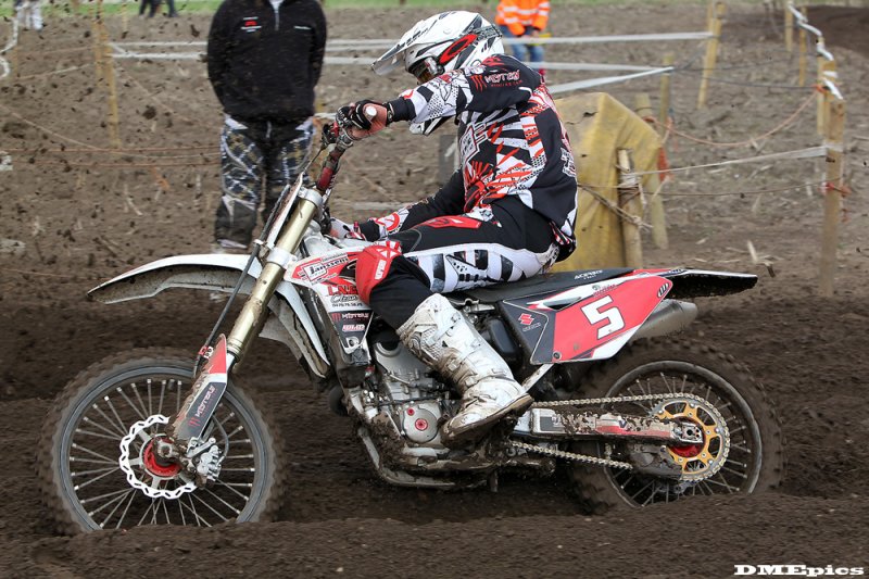k8398.jpg