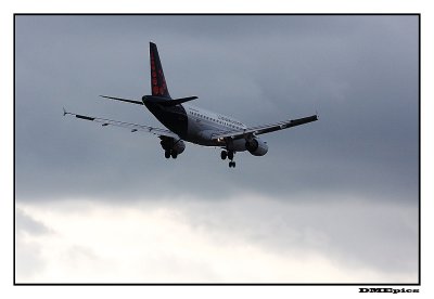 b_9518.jpg