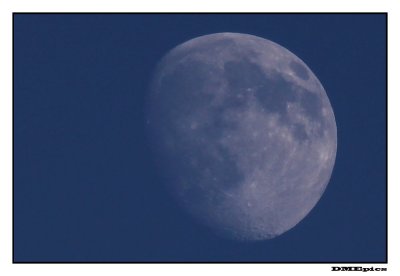 moon_6132.jpg
