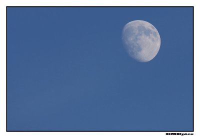 moon_6195.jpg