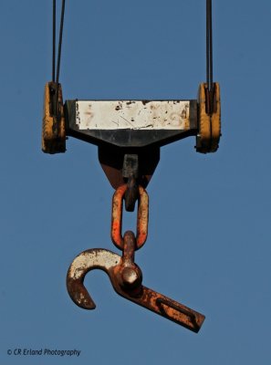 g3/78/893478/3/114343027.CdW9QdOe.jpg