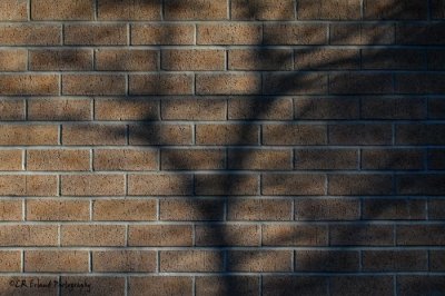 Bricks and Shadows - rectangle 4