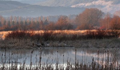 Marsh Sunrise