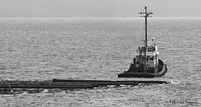 g3/78/893478/3/121259624.uGRZUY9f.jpg