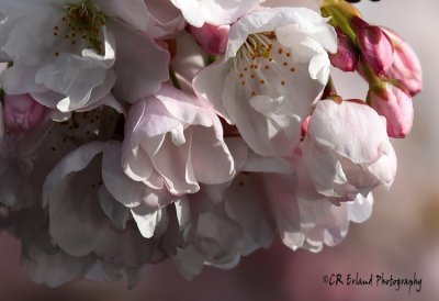 g3/78/893478/3/123043843.D8ysELm5.jpg
