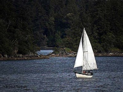 Wind, Water and SailWeek #4 - Water