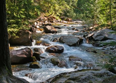 AVALANCHE CREEK, GLACIER NP