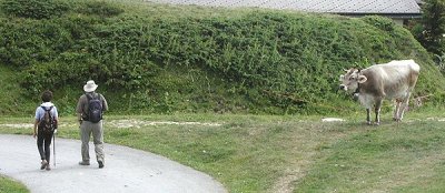 g3/78/924578/3/121090141.6QOI9DLv.jpg