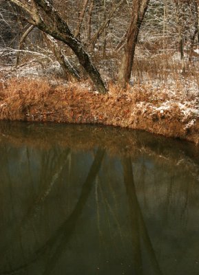 COMMON REFLECTION