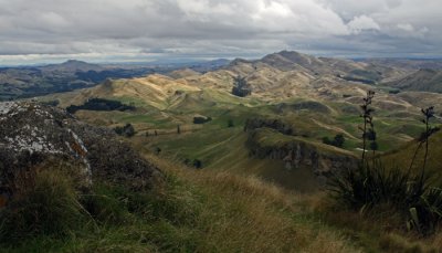 VIEW FROM TE MATA PEAK