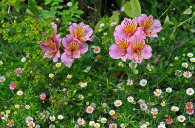 GARDEN TREASURES