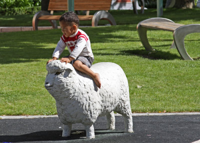 PLAYING ON A RIDEABLE SHEEP IN HASTINGS