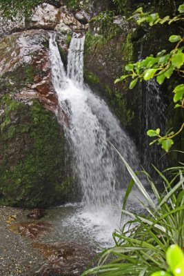 SHARPLIN FALLS
