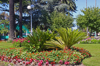 A NAPIER CENTRAL PARK