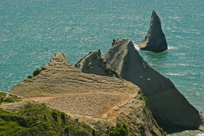 CAPE KIDNAPPERS, NORTH ISLAND, NZ