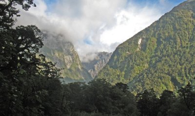 VIEW FROM THE TRACK