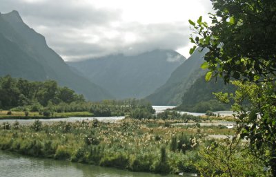 VIEW FROM THE TRACK