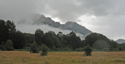 VIEW FROM THE TRACK