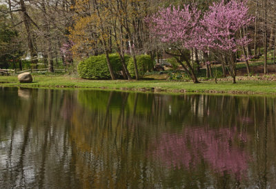SPRING REFLECTIONS