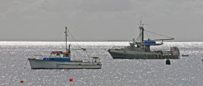 OBAN HARBOR: STEWART ISLAND