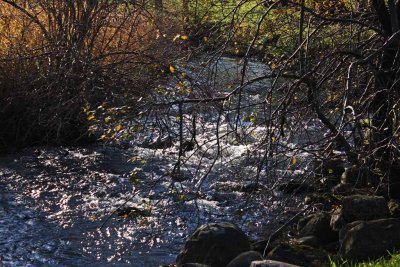 MILDMAY  PARK IN NOVEMBER