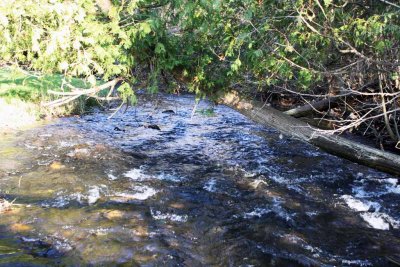 MILDMAY CREEK