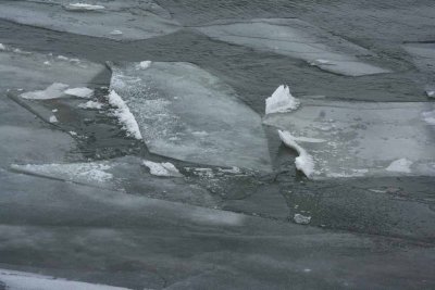 Icy River Bank