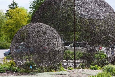 Twisted Branches