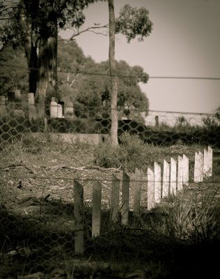 'Here lie the forgotten' - Sandy Creek Cemetery