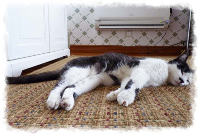a little bit tired