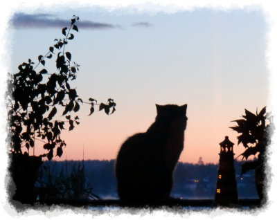 silhoutte