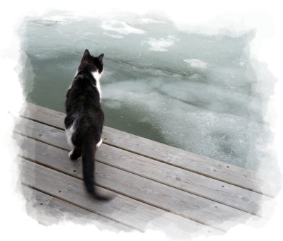 g3/78/945278/3/123317593.6F1JlTMe.jpg