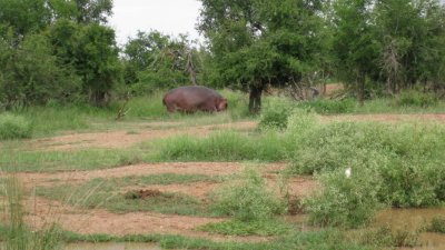 IMG_0314.jpg