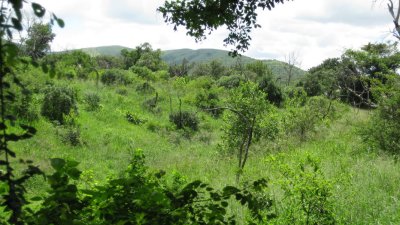IMG_0402.jpg