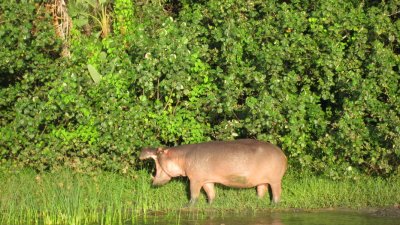IMG_0480.jpg