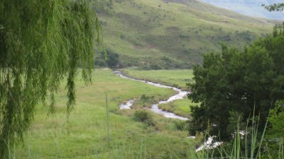 IMG_0520.jpg