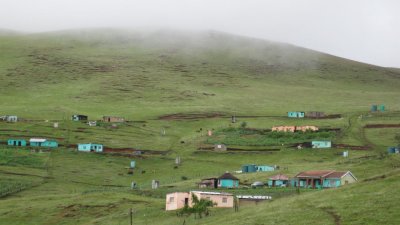 IMG_0568.jpg