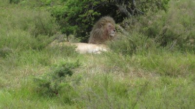 IMG_0635.jpg