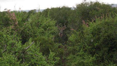 IMG_0704.jpg