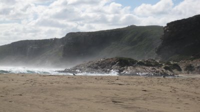 IMG_0754.jpg