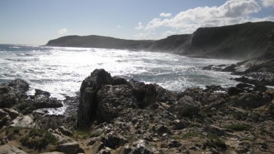 IMG_0760.jpg