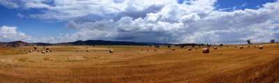 Hay field
